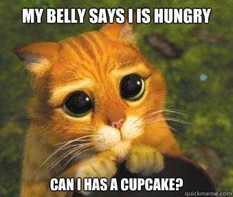 My belly says I is hungry can i has a cupcake?  Puss in boots