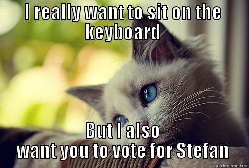 I REALLY WANT TO SIT ON THE KEYBOARD BUT I ALSO WANT YOU TO VOTE FOR STEFAN First World Problems Cat