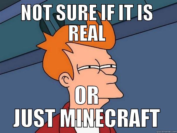 NOT SURE IF IT IS REAL OR JUST MINECRAFT Futurama Fry