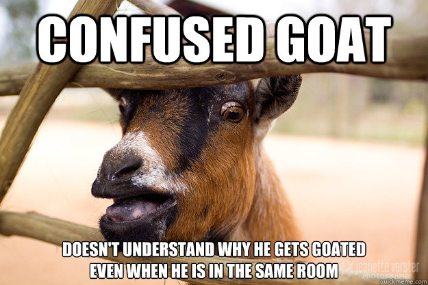 Confused Goat Doesn't understand why he gets goated 
even when he is in the same room - Confused Goat Doesn't understand why he gets goated 
even when he is in the same room  Confused Goat