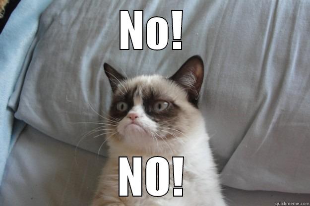 NO! NO! Grumpy Cat