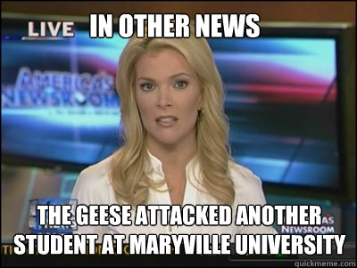 in other news the geese attacked another student at maryville university - in other news the geese attacked another student at maryville university  Megyn Kelly