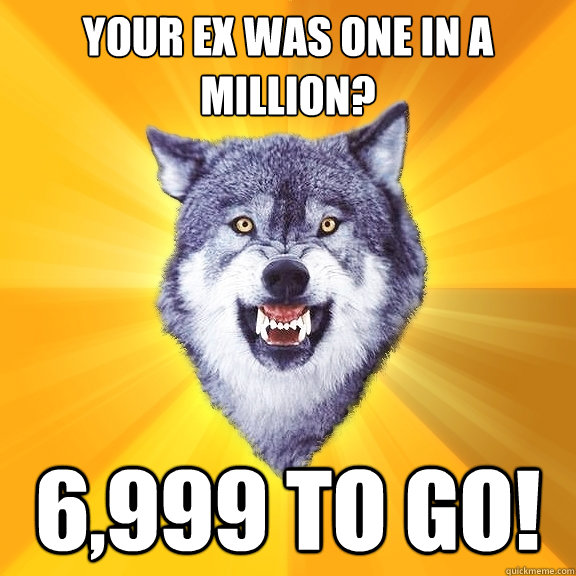 your ex was one in a million? 6,999 to go!  Courage Wolf