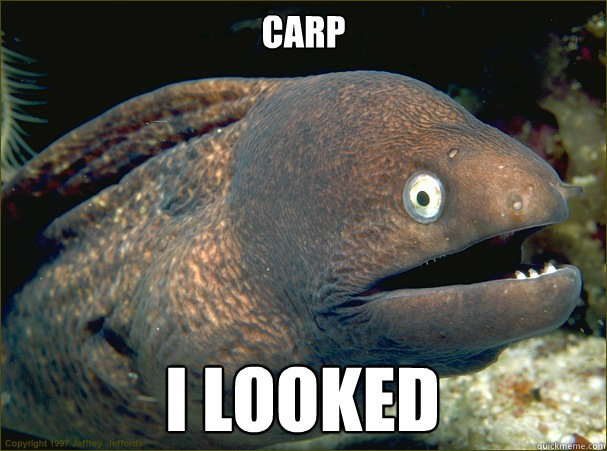 CARP I LOOKED - CARP I LOOKED  Bad Joke Eel