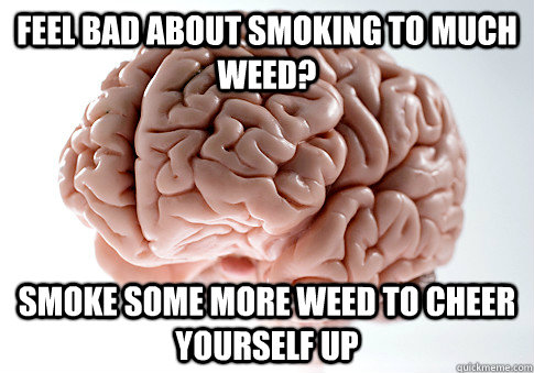 FEEL BAD ABOUT SMOKING TO MUCH WEED? SMOKE SOME MORE WEED TO CHEER YOURSELF UP - FEEL BAD ABOUT SMOKING TO MUCH WEED? SMOKE SOME MORE WEED TO CHEER YOURSELF UP  Scumbag Brain