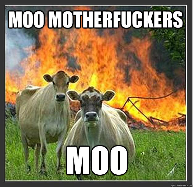 Moo Motherfuckers MOO   Evil cows