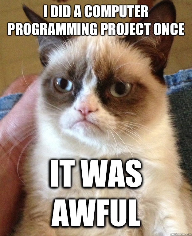 I did a computer programming project once It was awful  Grumpy Cat