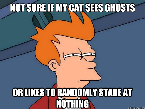 not sure if my cat sees ghosts or likes to randomly stare at nothing - not sure if my cat sees ghosts or likes to randomly stare at nothing  Futurama Fry