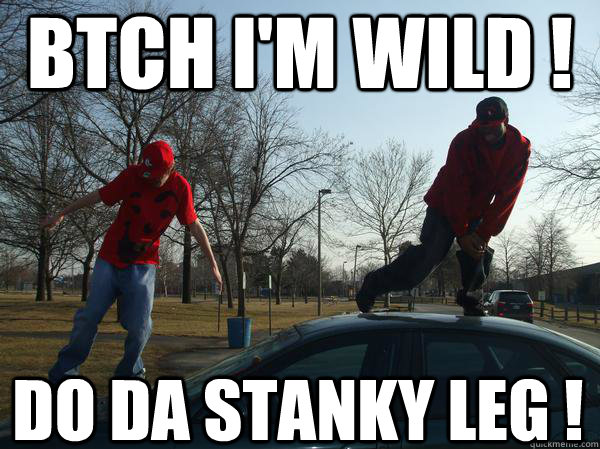 BTCH I'M WILD ! DO Da STANKY LEG ! - BTCH I'M WILD ! DO Da STANKY LEG !  Stanky Leg