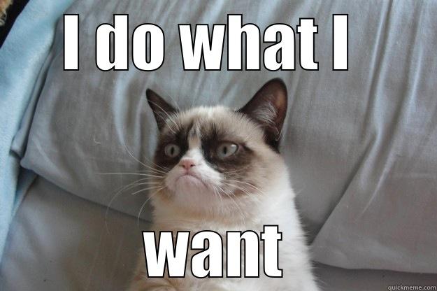 I DO WHAT I  WANT Grumpy Cat