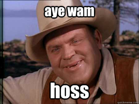 aye wam hoss  - aye wam hoss   Hoss