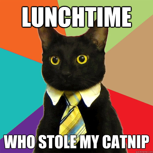 Lunchtime Who stole my catnip  Business Cat