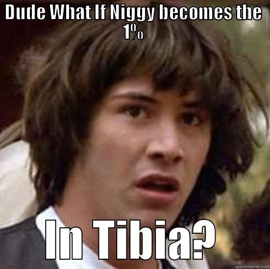 DUDE WHAT IF NIGGY BECOMES THE 1% IN TIBIA? conspiracy keanu