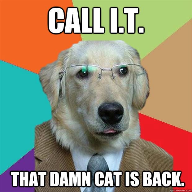 Call I.T. that damn cat is back.  Business Dog