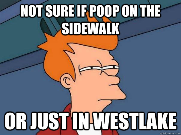 Not sure if poop on the sidewalk Or just in Westlake - Not sure if poop on the sidewalk Or just in Westlake  Futurama Fry