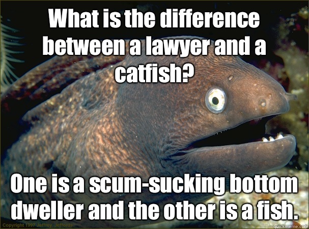 What is the difference between a lawyer and a catfish? One is a scum-sucking bottom dweller and the other is a fish. - What is the difference between a lawyer and a catfish? One is a scum-sucking bottom dweller and the other is a fish.  Bad Joke Eel