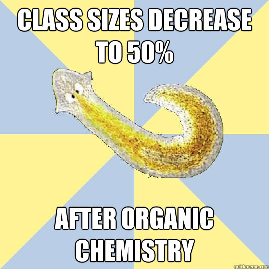 class sizes decrease to 50% after organic chemistry  Bio Major Planarian