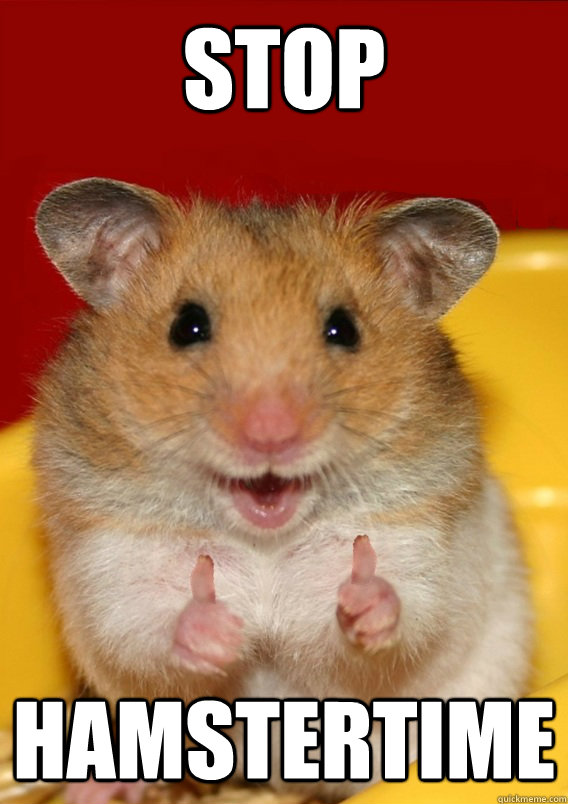 stop hamstertime   Rationalization Hamster