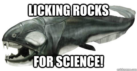 licking rocks for science!  Geology Major Dunkleosteus