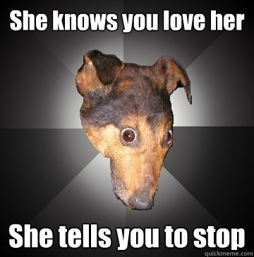 She knows you love her She tells you to stop  Depression Dog