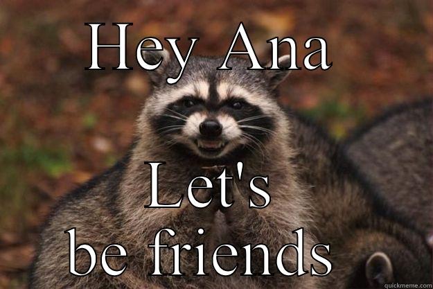 HEY ANA LET'S BE FRIENDS  Evil Plotting Raccoon