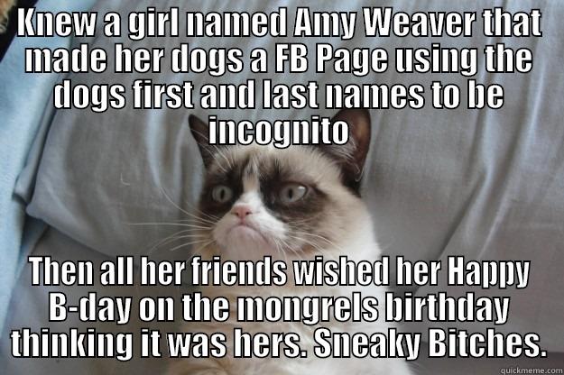 KNEW A GIRL NAMED AMY WEAVER THAT MADE HER DOGS A FB PAGE USING THE DOGS FIRST AND LAST NAMES TO BE INCOGNITO THEN ALL HER FRIENDS WISHED HER HAPPY B-DAY ON THE MONGRELS BIRTHDAY THINKING IT WAS HERS. SNEAKY BITCHES. Grumpy Cat