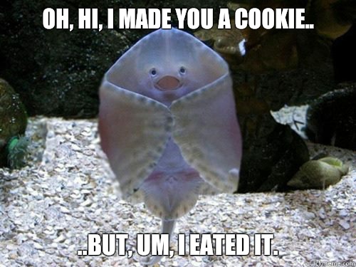 Oh, hi, I made you a cookie..
 ..But, um, I eated it.  friendly stingray