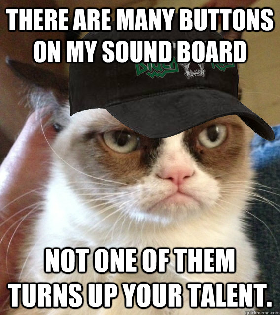 There are many buttons on my sound board Not one of them turns up your talent. - There are many buttons on my sound board Not one of them turns up your talent.  grumpy soundguy