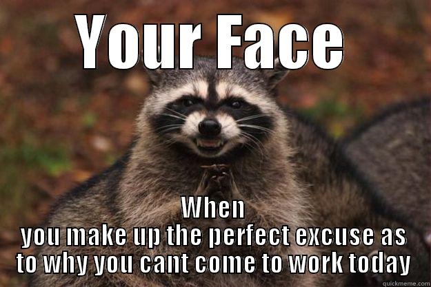 Get out of work - YOUR FACE WHEN YOU MAKE UP THE PERFECT EXCUSE AS TO WHY YOU CANT COME TO WORK TODAY Evil Plotting Raccoon