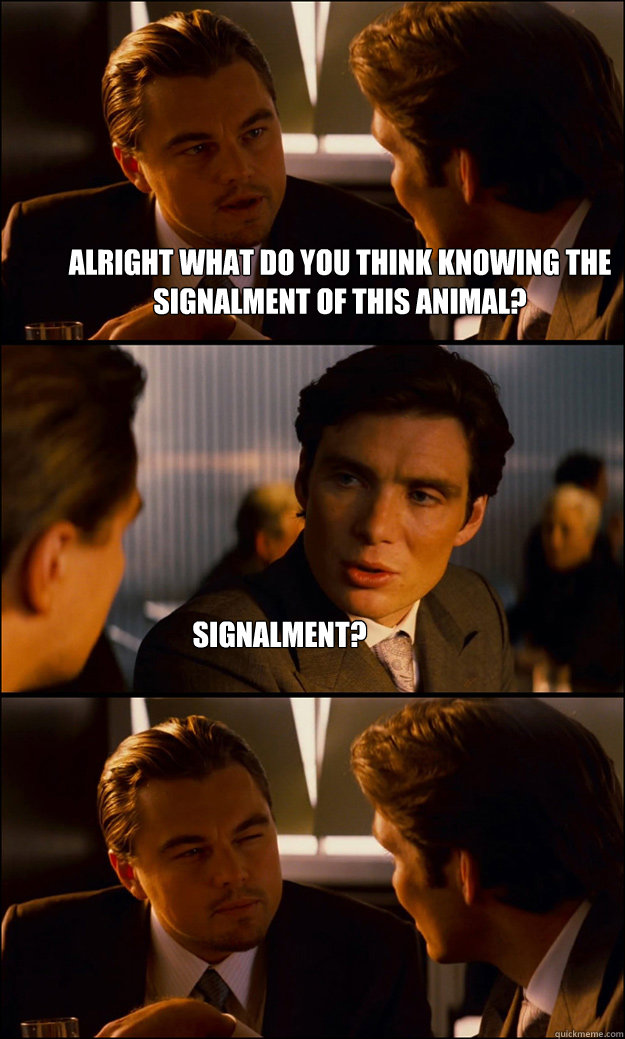 Alright what do you think knowing the signalment of this animal? signalment? - Alright what do you think knowing the signalment of this animal? signalment?  Inception