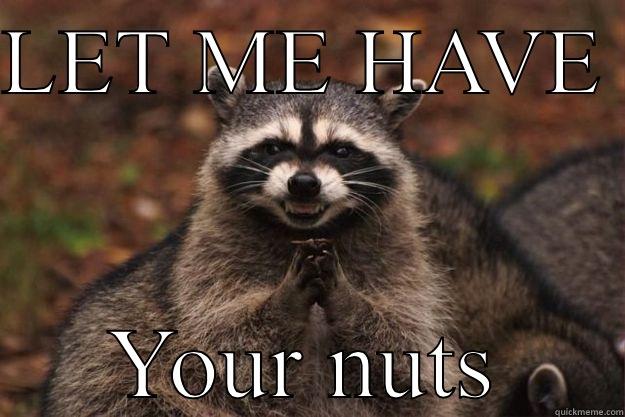 LET ME HAVE  YOUR NUTS Evil Plotting Raccoon