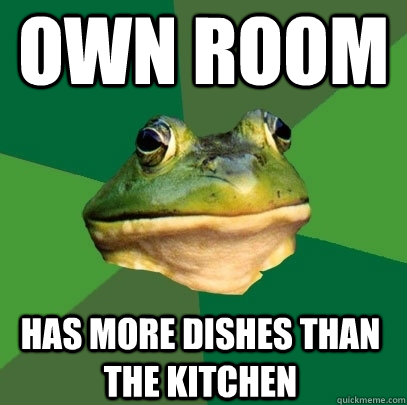 Own Room has more dishes than the kitchen  Foul Bachelor Frog