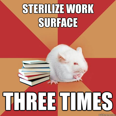 sterilize work surface three times  Science Major Mouse