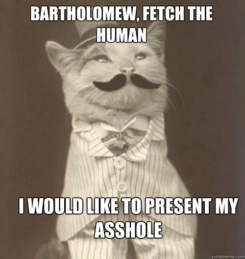 bartholomew, fetch the human I would like to present my asshole  - bartholomew, fetch the human I would like to present my asshole   Sir Cat