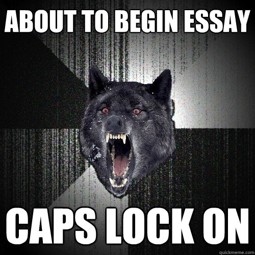 about to begin essay caps lock on  Insanity Wolf