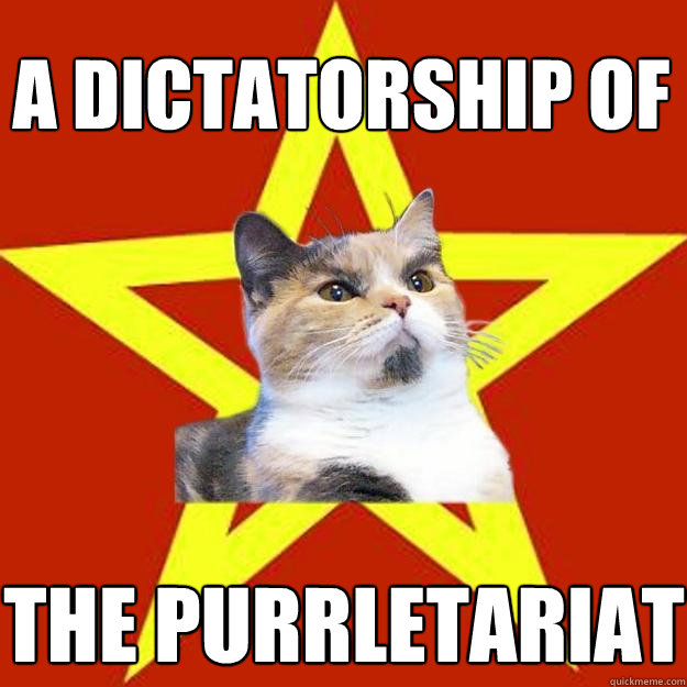 a dictatorship of the purrletariat  Lenin Cat