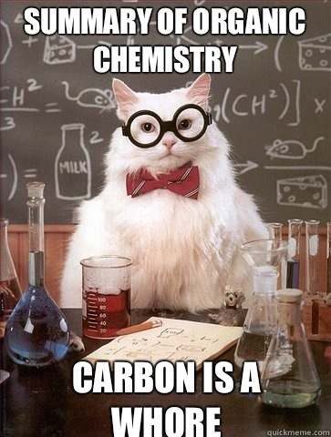 summary of Organic Chemistry carbon is a whore  Chemistry Cat