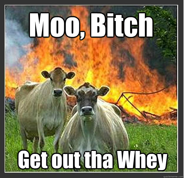 Moo, Bitch Get out tha Whey  Evil cows