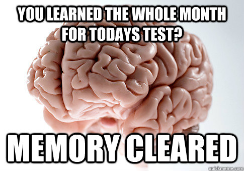 you learned the whole month for todays test? memory cleared - you learned the whole month for todays test? memory cleared  Scumbag Brain