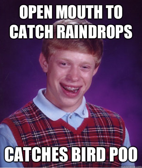 Open mouth to catch raindrops  Catches bird poo  Bad Luck Brian