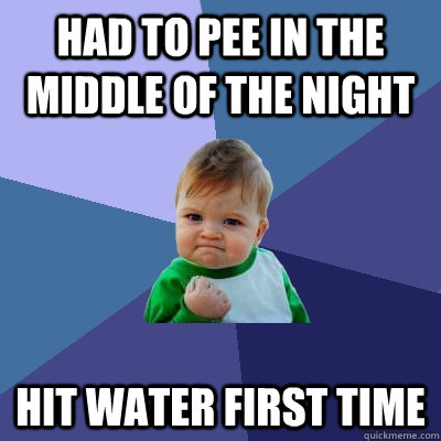 had to pee in the middle of the night hit water first time  Success Kid