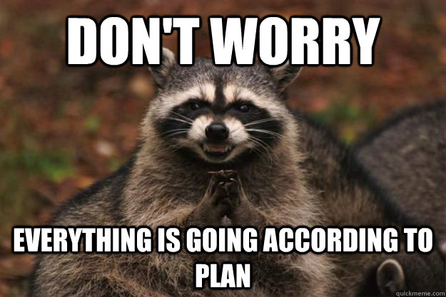 Don't worry everything is going according to plan  Evil Plotting Raccoon