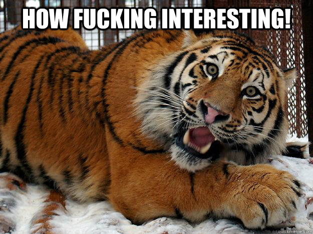 How Fucking Interesting!   Fascinated Tiger