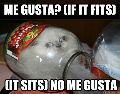 Me gusta? (if it fits) (it sits) no me gusta    Jar cat