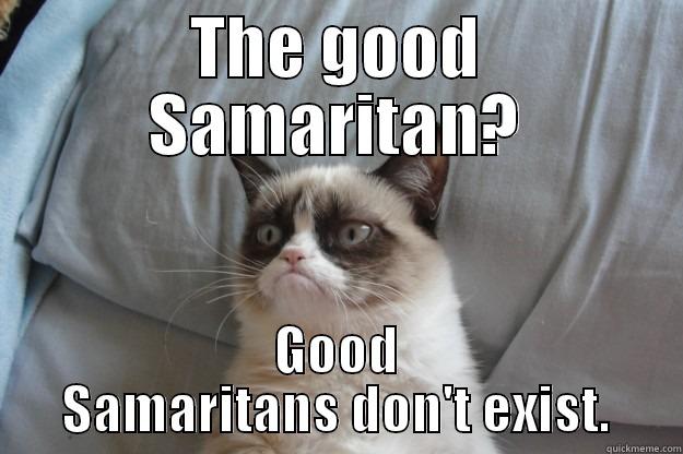 THE GOOD SAMARITAN? GOOD SAMARITANS DON'T EXIST. Grumpy Cat