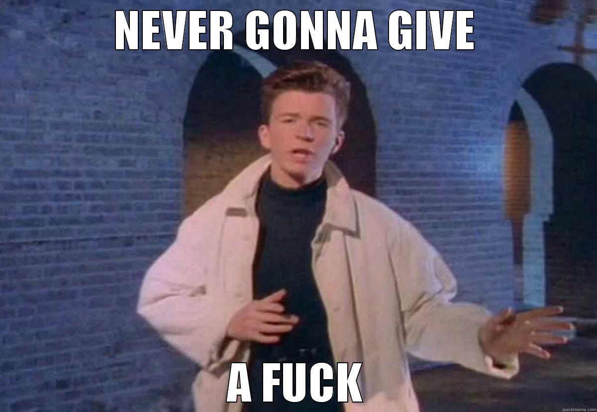 Never gonna give a f*** - NEVER GONNA GIVE A FUCK Misc