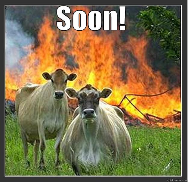 Raping time! - SOON!  Evil cows