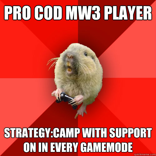 Pro COD MW3 Player Strategy:Camp with Support on in every gamemode  Gaming Gopher