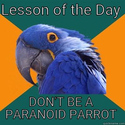 LESSON OF THE DAY  DON'T BE A PARANOID PARROT Paranoid Parrot