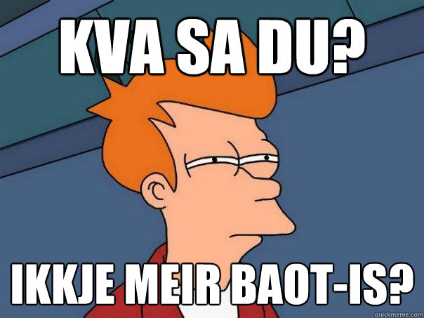 kva sa du? ikkje meir baot-is?  Futurama Fry